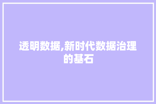 透明数据,新时代数据治理的基石
