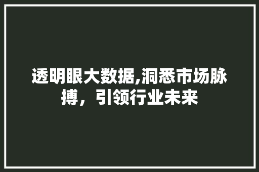 透明眼大数据,洞悉市场脉搏，引领行业未来
