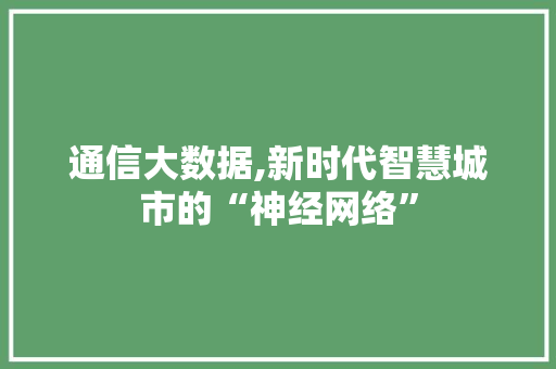通信大数据,新时代智慧城市的“神经网络”