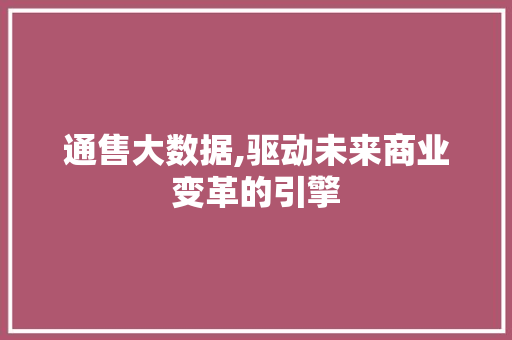 通售大数据,驱动未来商业变革的引擎