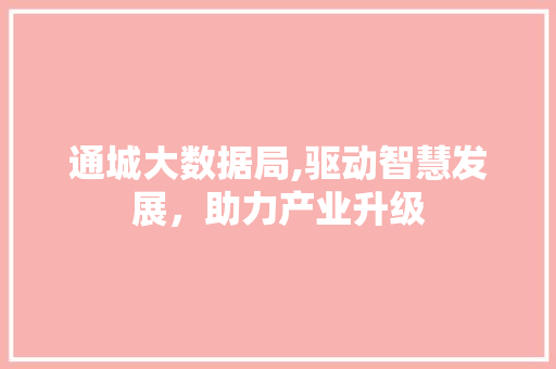 通城大数据局,驱动智慧发展，助力产业升级