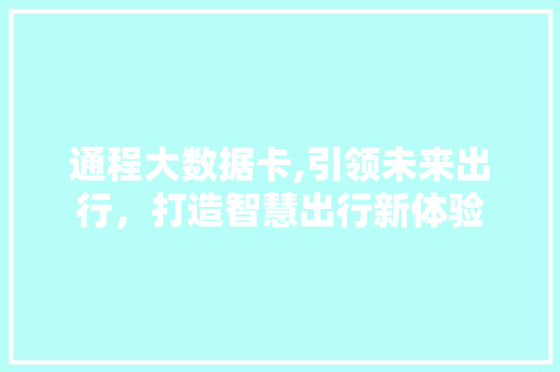 通程大数据卡,引领未来出行，打造智慧出行新体验