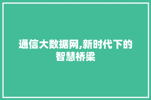 通信大数据网,新时代下的智慧桥梁