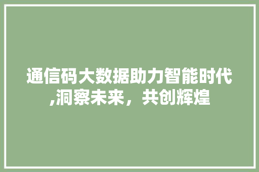 通信码大数据助力智能时代,洞察未来，共创辉煌