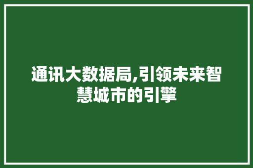 通讯大数据局,引领未来智慧城市的引擎 SEO关键词