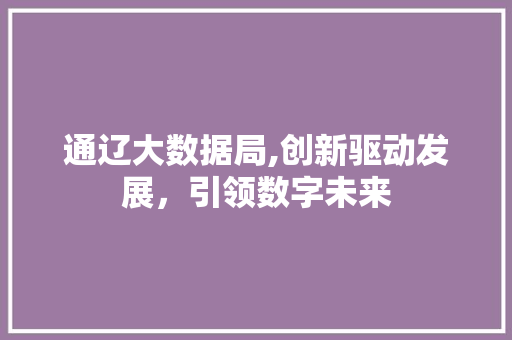 通辽大数据局,创新驱动发展，引领数字未来