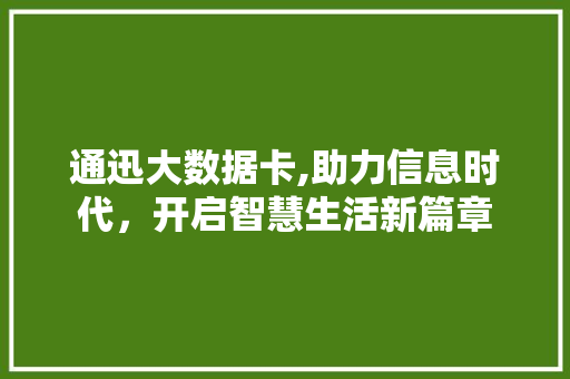 通迅大数据卡,助力信息时代，开启智慧生活新篇章