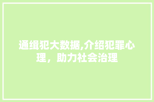 通缉犯大数据,介绍犯罪心理，助力社会治理