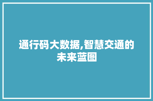 通行码大数据,智慧交通的未来蓝图