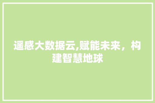 遥感大数据云,赋能未来，构建智慧地球