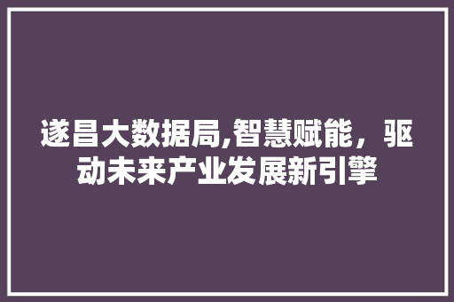遂昌大数据局,智慧赋能，驱动未来产业发展新引擎