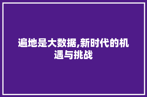 遍地是大数据,新时代的机遇与挑战