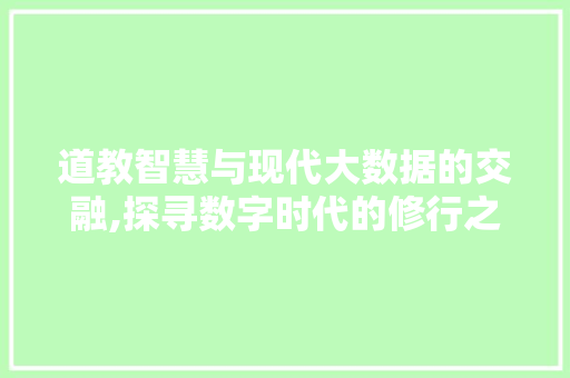 道教智慧与现代大数据的交融,探寻数字时代的修行之路