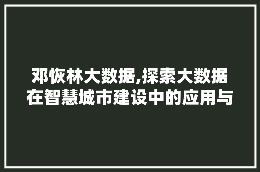 邓恢林大数据,探索大数据在智慧城市建设中的应用与方法