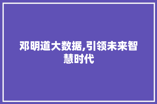 邓明道大数据,引领未来智慧时代