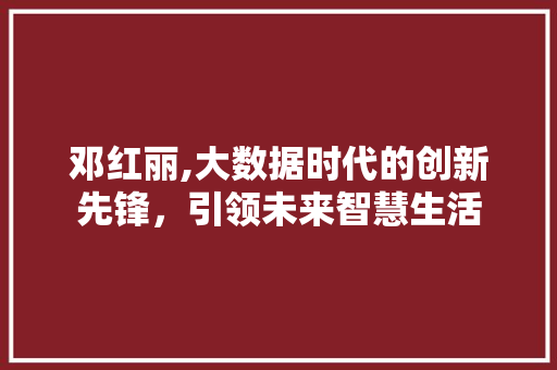 邓红丽,大数据时代的创新先锋，引领未来智慧生活