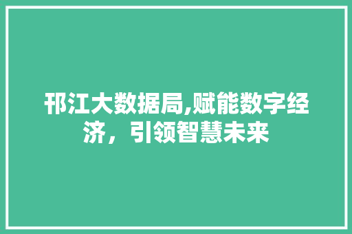 邗江大数据局,赋能数字经济，引领智慧未来