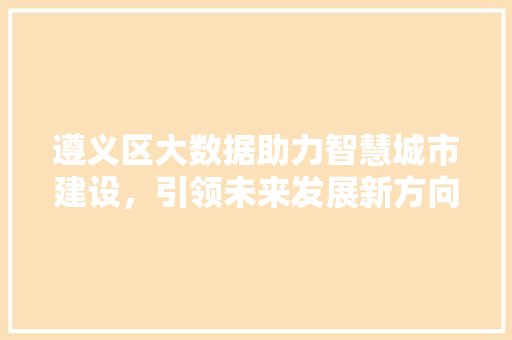 遵义区大数据助力智慧城市建设，引领未来发展新方向