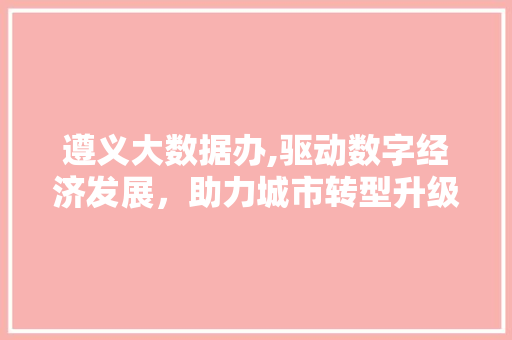 遵义大数据办,驱动数字经济发展，助力城市转型升级
