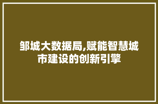 邹城大数据局,赋能智慧城市建设的创新引擎