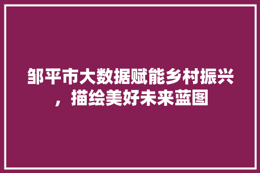 邹平市大数据赋能乡村振兴，描绘美好未来蓝图