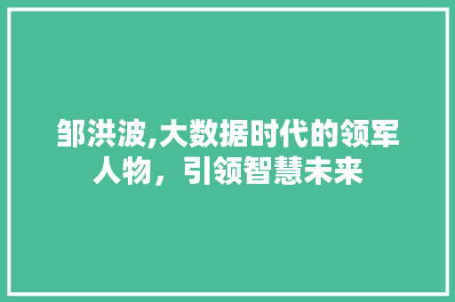 邹洪波,大数据时代的领军人物，引领智慧未来