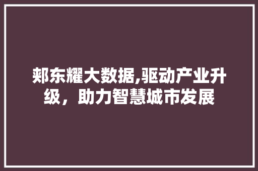 郏东耀大数据,驱动产业升级，助力智慧城市发展