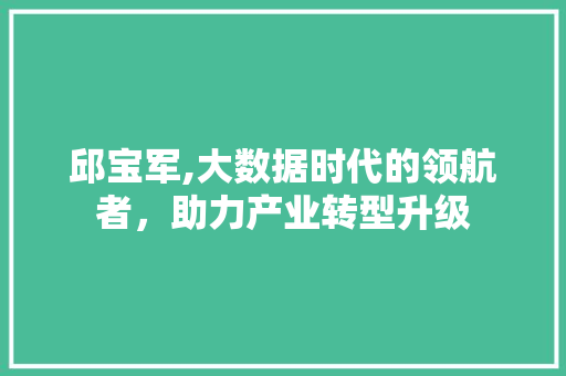 邱宝军,大数据时代的领航者，助力产业转型升级