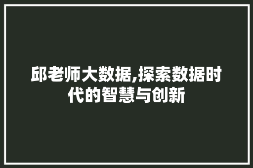 邱老师大数据,探索数据时代的智慧与创新