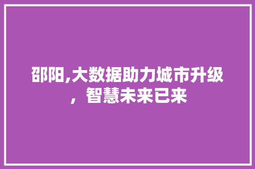 邵阳,大数据助力城市升级，智慧未来已来
