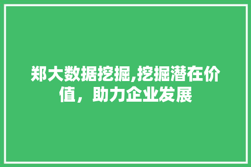 郑大数据挖掘,挖掘潜在价值，助力企业发展