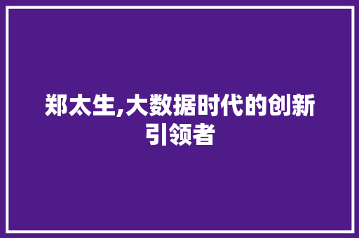 郑太生,大数据时代的创新引领者