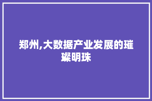 郑州,大数据产业发展的璀璨明珠
