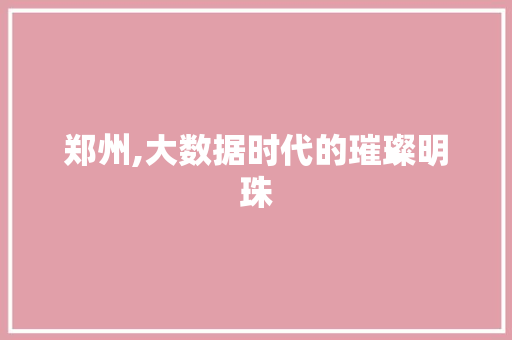 郑州,大数据时代的璀璨明珠