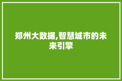 郑州大数据,智慧城市的未来引擎