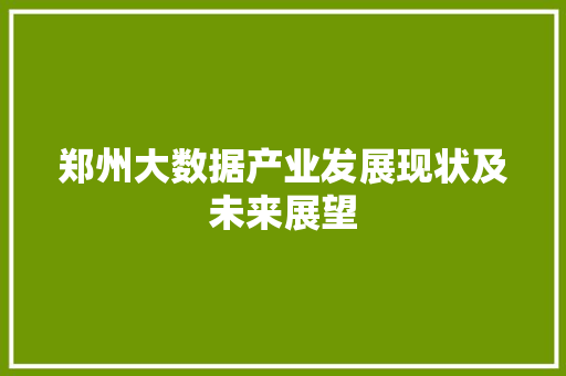 郑州大数据产业发展现状及未来展望