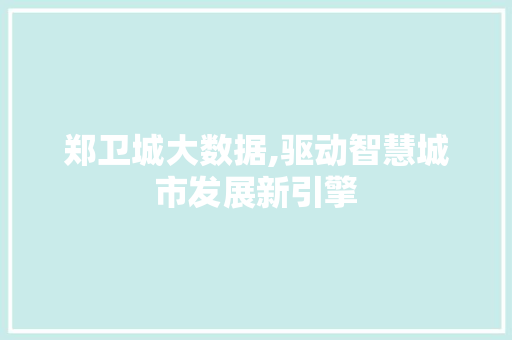 郑卫城大数据,驱动智慧城市发展新引擎