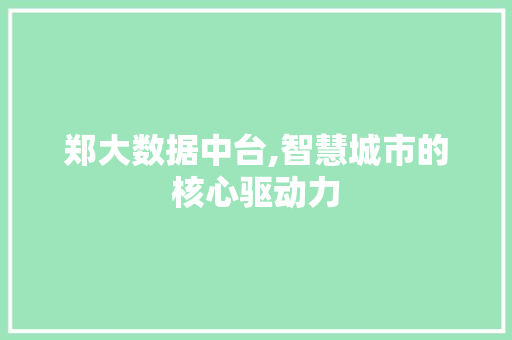 郑大数据中台,智慧城市的核心驱动力
