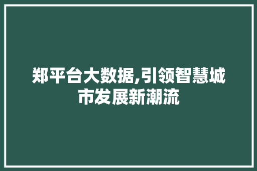 郑平台大数据,引领智慧城市发展新潮流 百度SEO