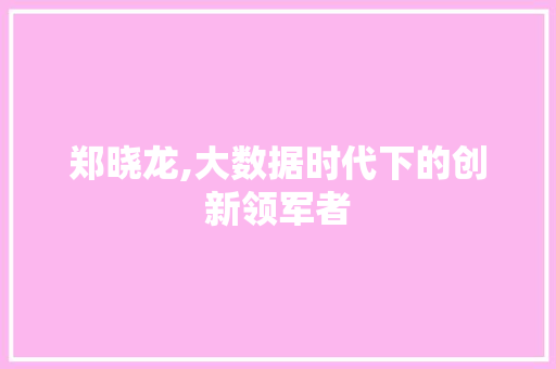 郑晓龙,大数据时代下的创新领军者 搜狗SEO