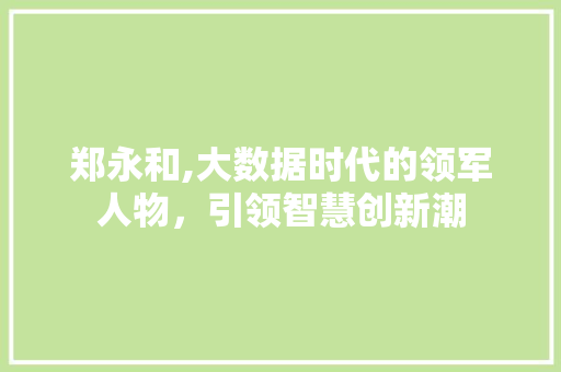 郑永和,大数据时代的领军人物，引领智慧创新潮 SEO关键词