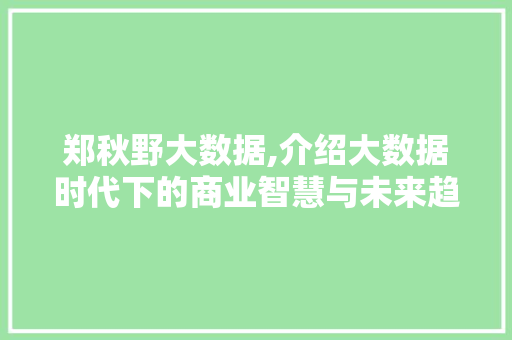郑秋野大数据,介绍大数据时代下的商业智慧与未来趋势
