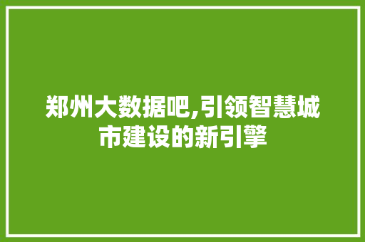 郑州大数据吧,引领智慧城市建设的新引擎