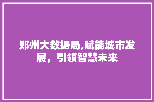 郑州大数据局,赋能城市发展，引领智慧未来