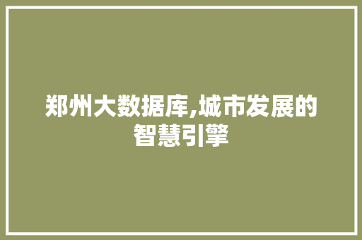 郑州大数据库,城市发展的智慧引擎