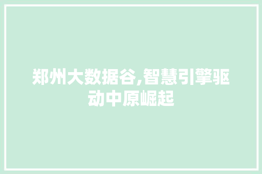 郑州大数据谷,智慧引擎驱动中原崛起