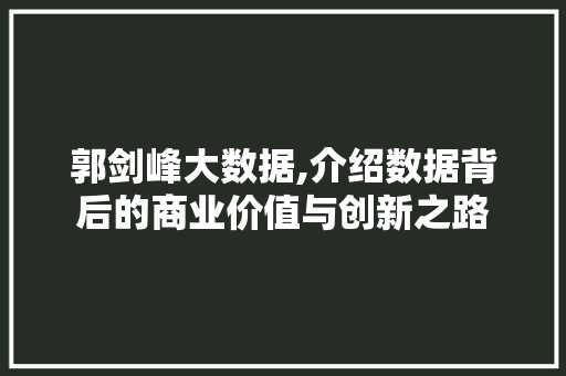 郭剑峰大数据,介绍数据背后的商业价值与创新之路