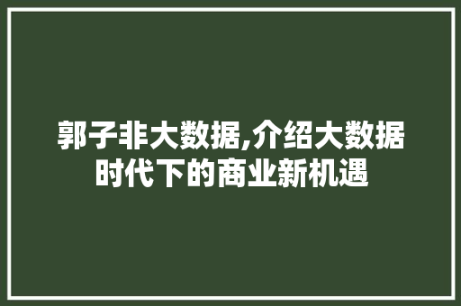 郭子非大数据,介绍大数据时代下的商业新机遇