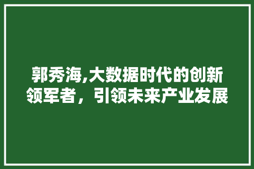 郭秀海,大数据时代的创新领军者，引领未来产业发展