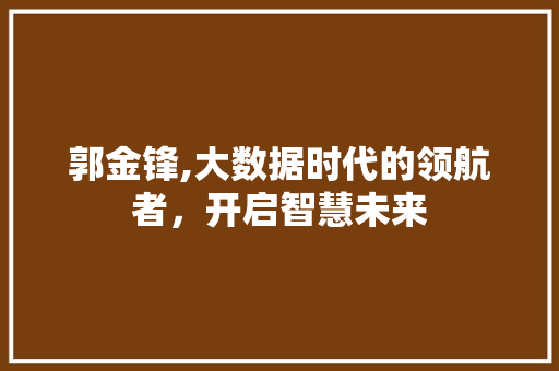 郭金锋,大数据时代的领航者，开启智慧未来